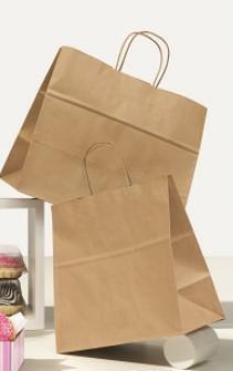 SHOPPER TAKE AWAY 36+22X32CM AVANA M/CORDINO ART.262 CF=25PZ