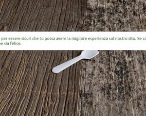 PALETTA GELATO BIO COMPOSTABILE CF=250PZ